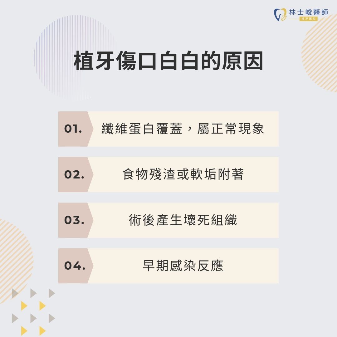 植牙傷口白白的是正常的嗎?傷口癒合過程與植牙傷口發炎警訊完整解析 2 植牙傷口白白的原因